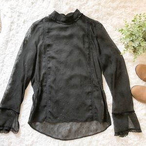 Zara sheer long sleeve
